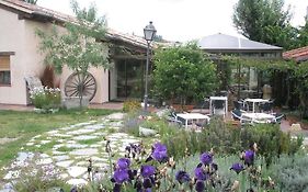 Huerta De San Lorenzo