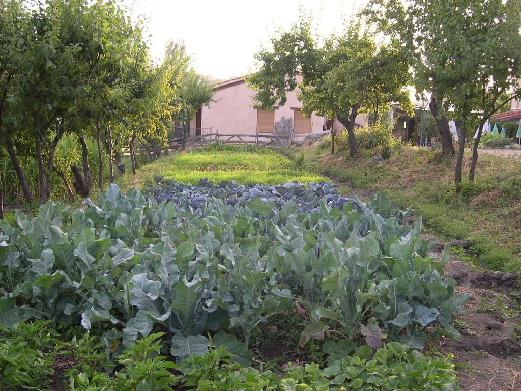 La Huerta De San Lorenzo Hotel Segovia Exterior foto